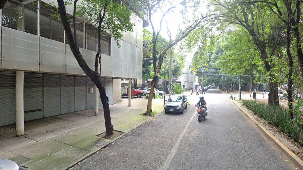 Av. Ámsterdam · Condesa