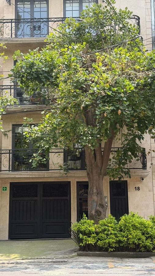Edificio boutique de piedra, no. 18