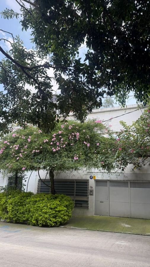 Fachada blanca con árbol en flor, no. 128