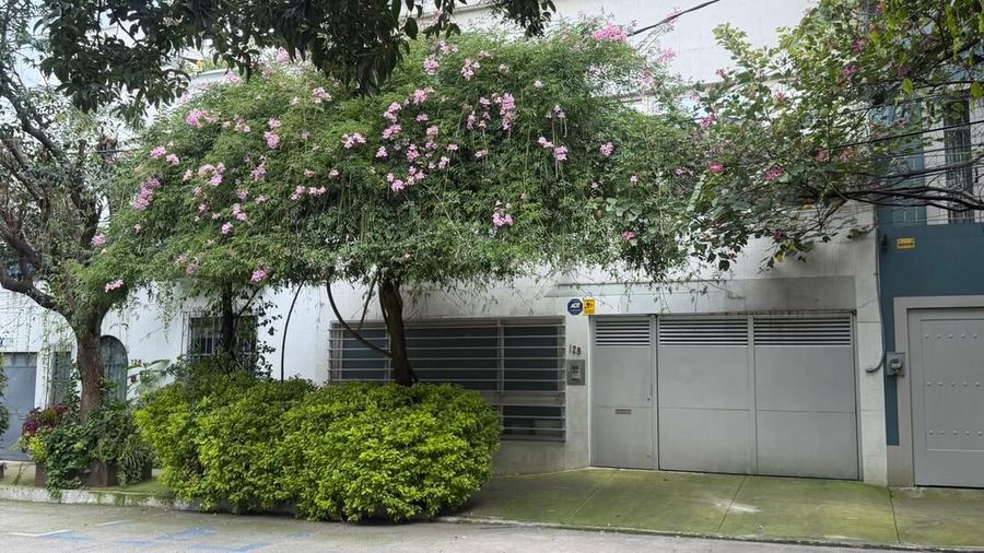 Fachada blanca con árbol en flor, no. 128