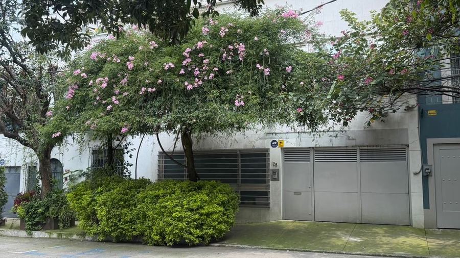 Fachada blanca con árbol en flor, no. 128